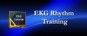 Read more about the article EKG Study Guide