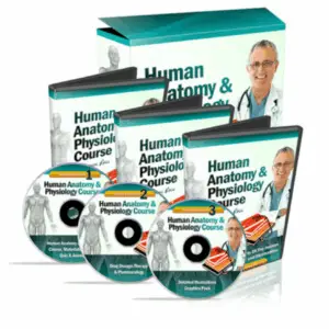 Human Anatomy & Physiology Course