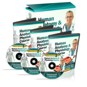 Human Anatomy & Physiology Course
